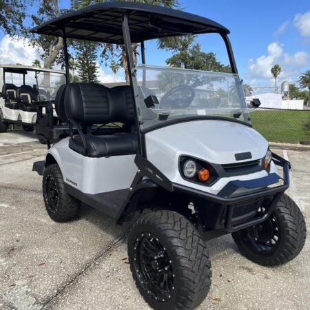 Stardust 2025 E-Z-GO Express 4 Gas