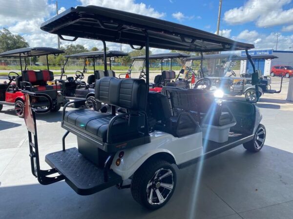 Mineral White 2025 Evolution Electric Vehicles Carrier 6 Plus. - Image 7