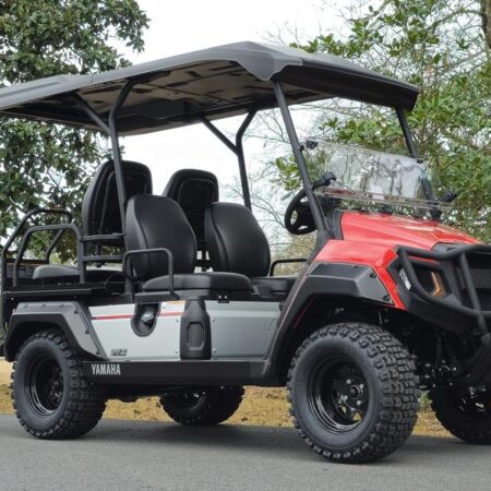 2025 Yamaha UMAX Rally 2+2™ EFI Gas