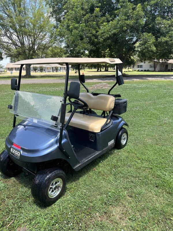 2018 EZGO EZGO TXT Electric. - Image 5