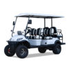 2025 ICON i60L Electric 6 Seater