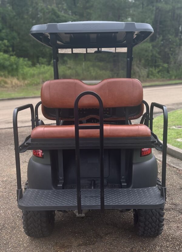 2018 Premium Club Car Precedent - Image 4