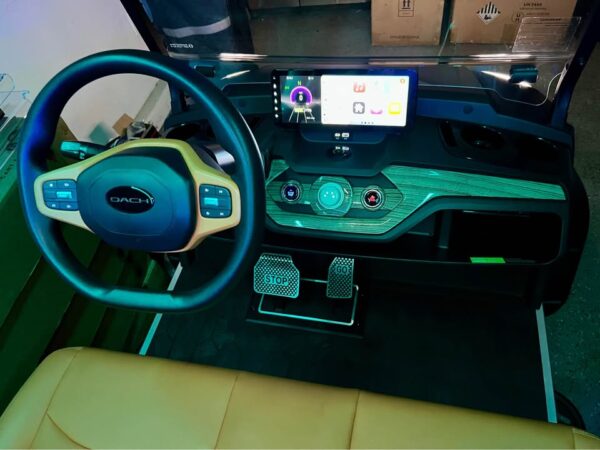 Brand new 2025 Dach Apollo EV 4 seater. - Image 7