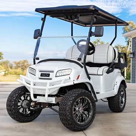 Snowstorm 2025 Club Car Onward Snowstorm Special Edition 4