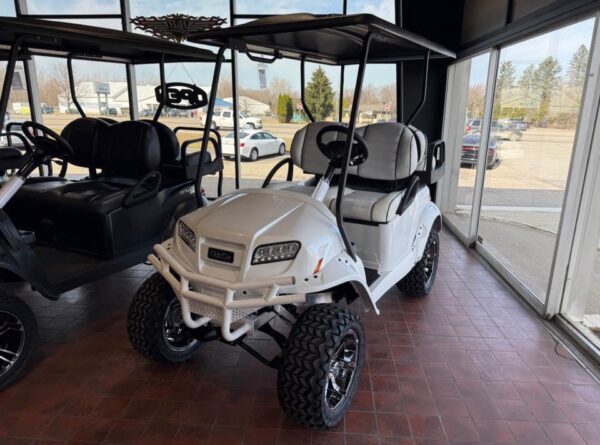 Snowstorm 2025 Club Car Onward Snowstorm Special Edition 4 - Image 3