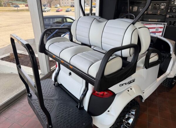 Snowstorm 2025 Club Car Onward Snowstorm Special Edition 4 - Image 11