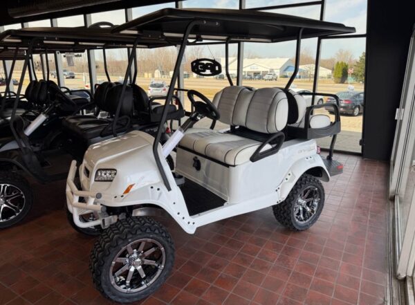 Snowstorm 2025 Club Car Onward Snowstorm Special Edition 4 - Image 18