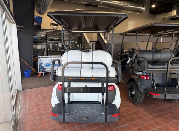 Snowstorm 2025 Club Car Onward Snowstorm Special Edition 4 - Image 5