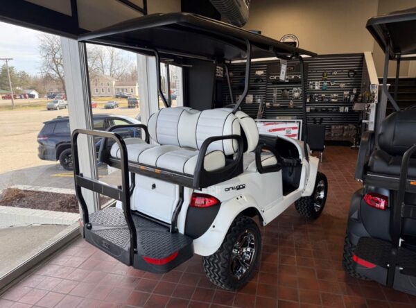 Snowstorm 2025 Club Car Onward Snowstorm Special Edition 4 - Image 8