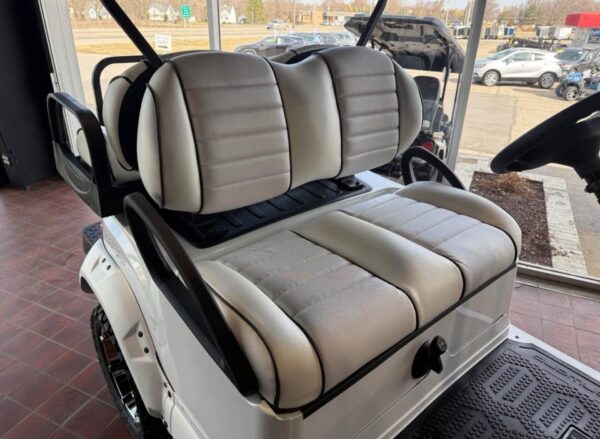 Snowstorm 2025 Club Car Onward Snowstorm Special Edition 4 - Image 15
